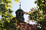 Bothmer